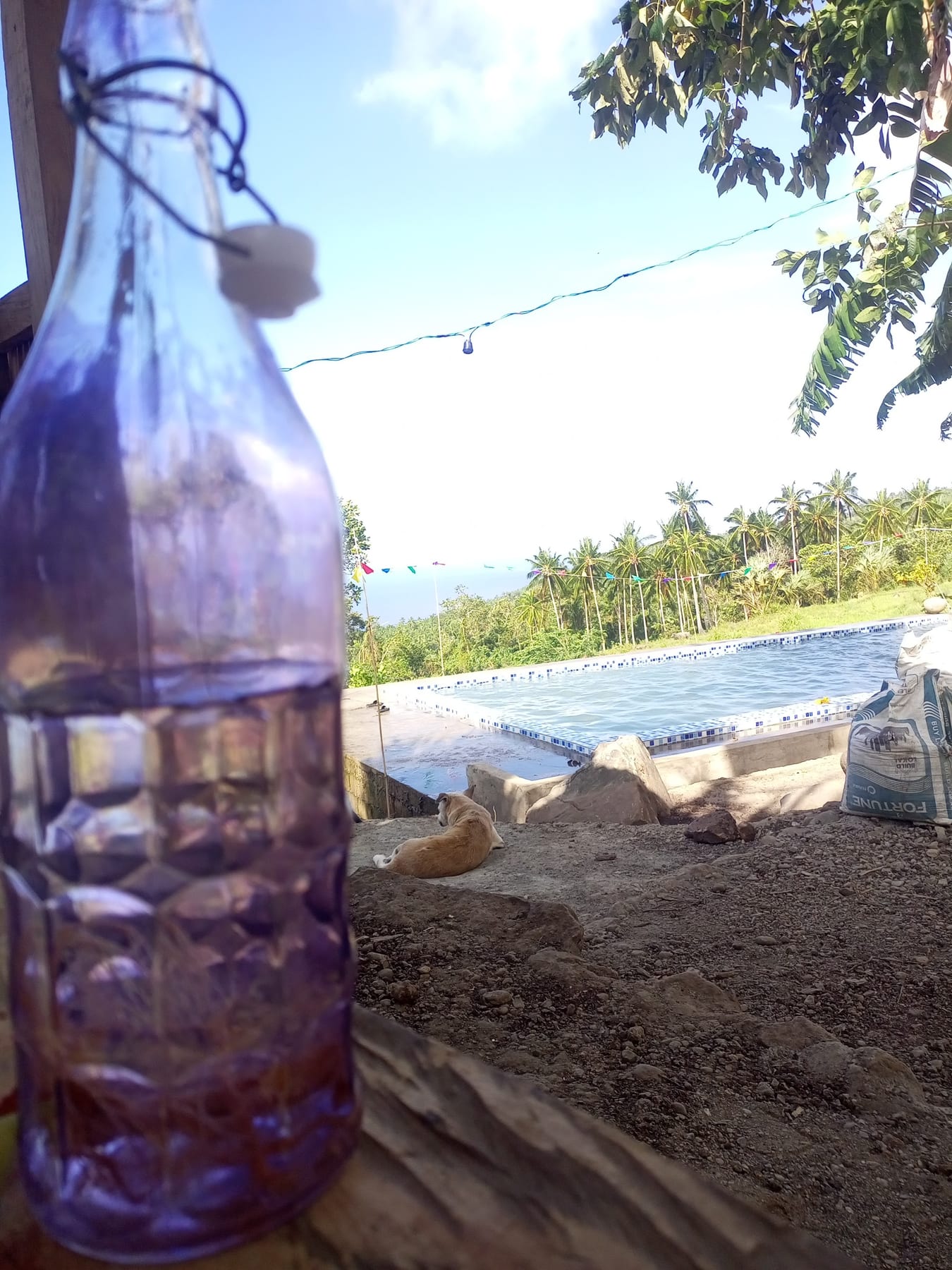 Kenemeking Spring Resort photo 8 in Marinduque