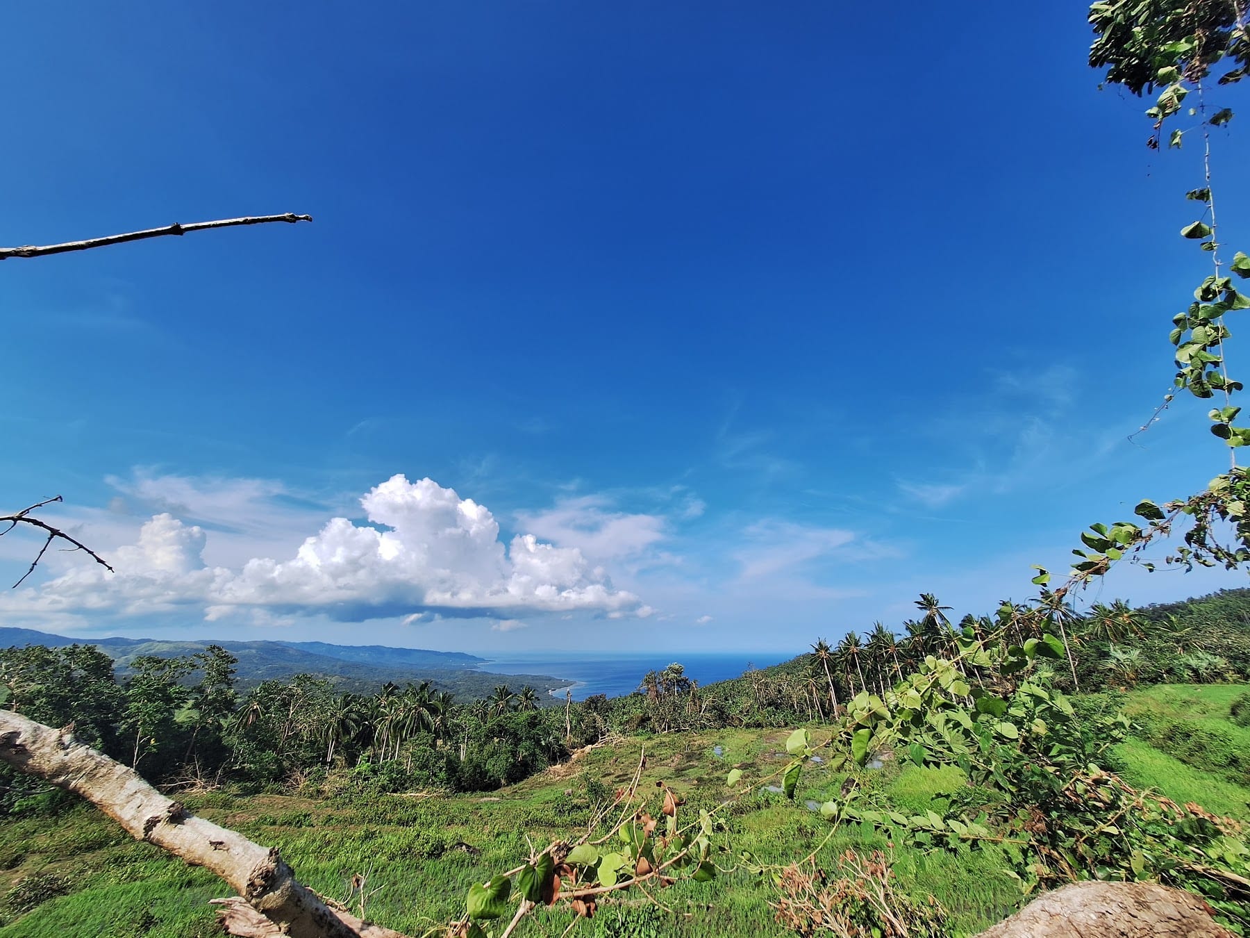 Kenemeking Spring Resort photo 5 in Marinduque
