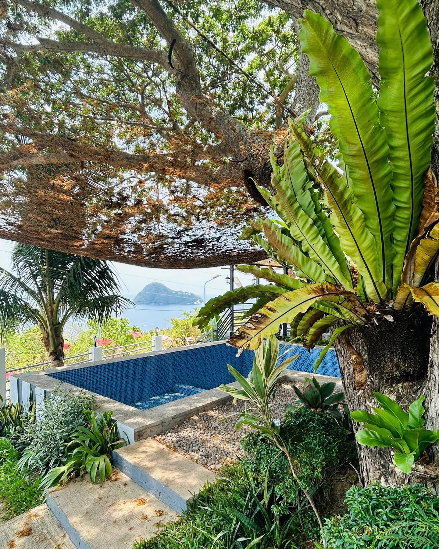 Zariyah Resort photo 2