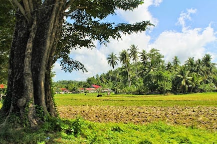 Laylay Beach photo 2