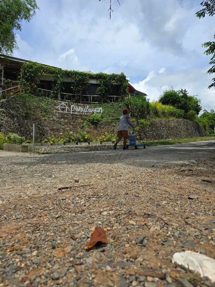 Daytime arrival view of Panuluyan Farmstay's hillside building with vine-covered walls and the property's signage