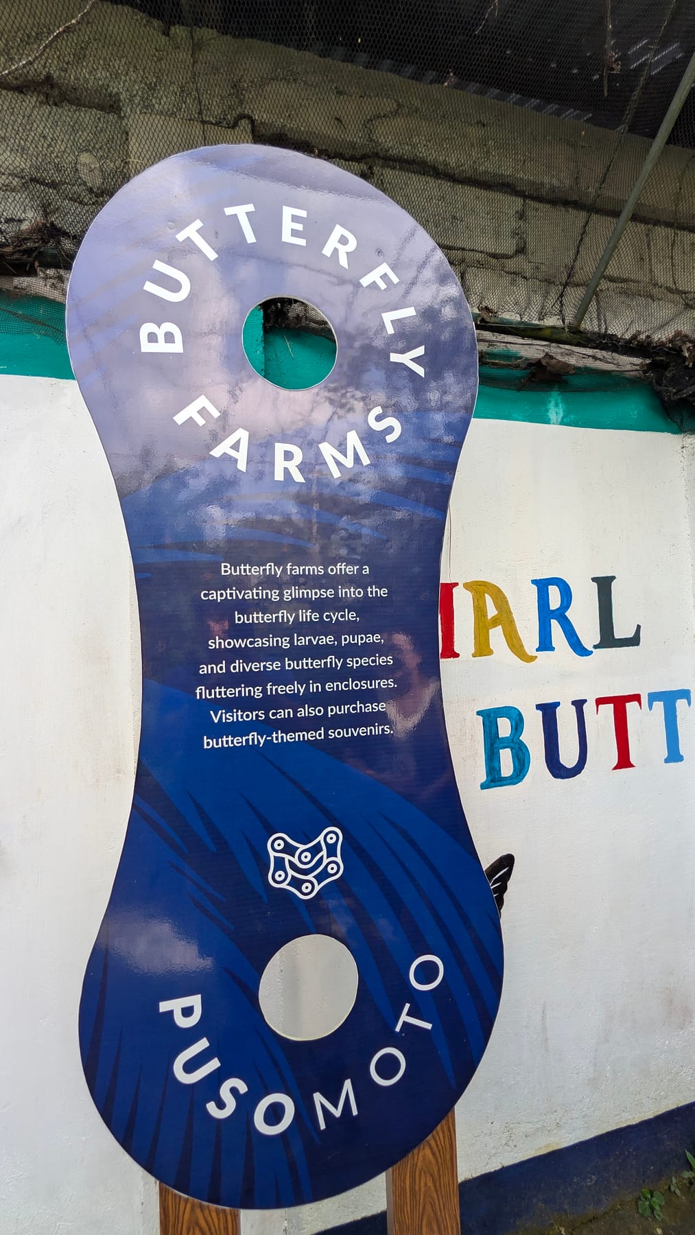 Marl Insects and Butterfly Culture photo 5