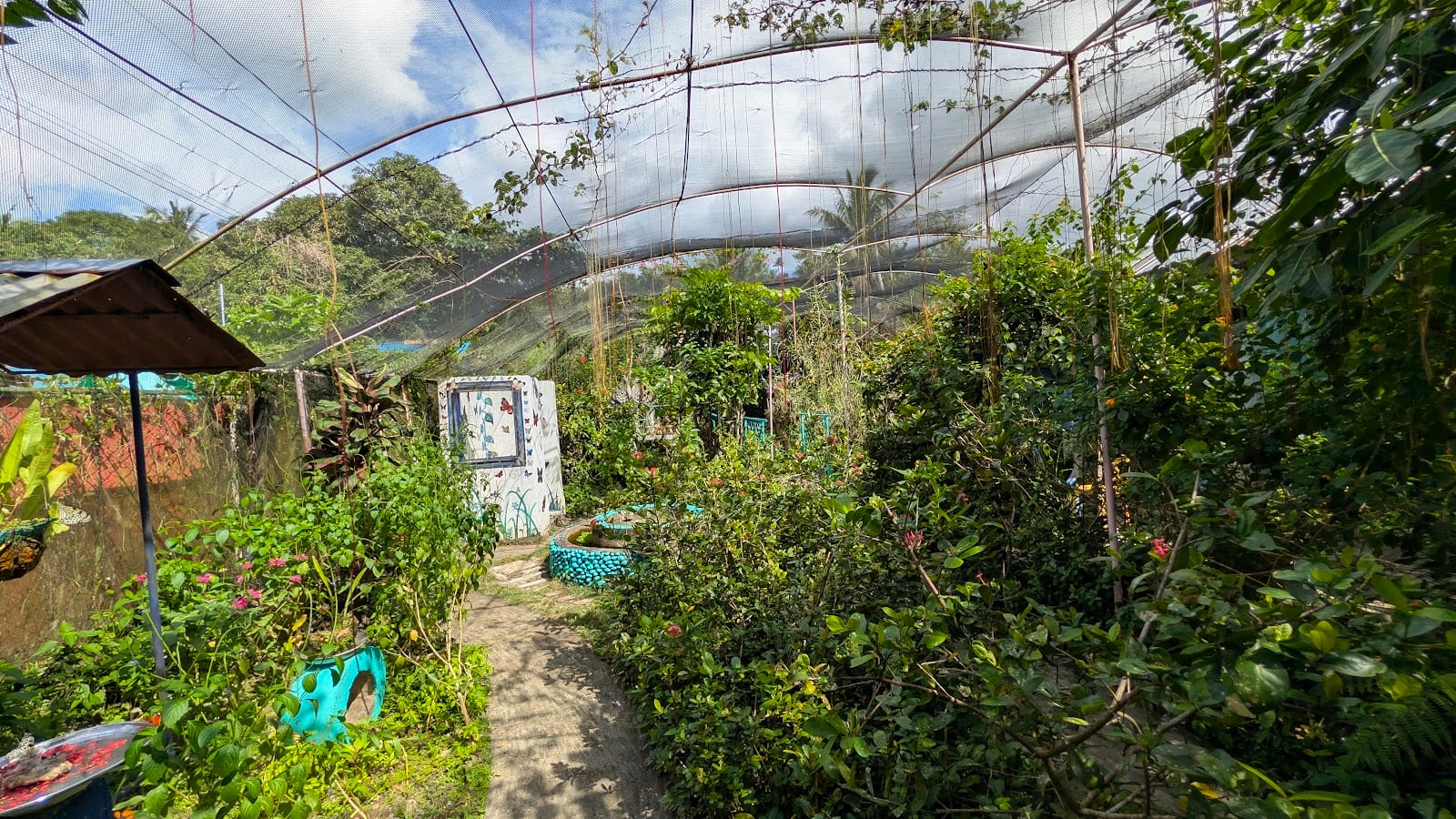 Marl Insects and Butterfly Culture photo 4