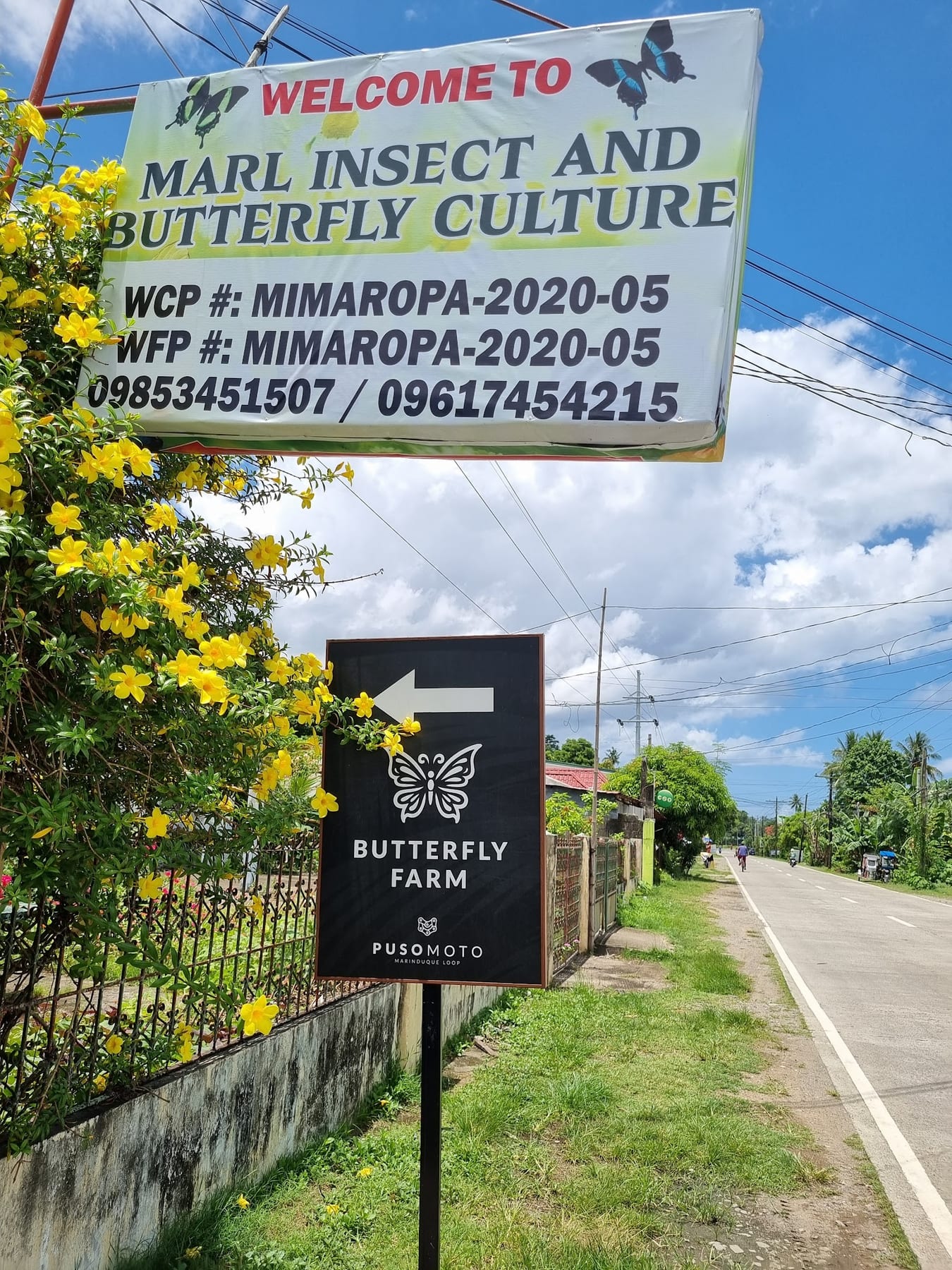 Marl Insects and Butterfly Culture photo 3