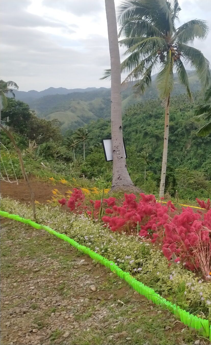TIMBO Integrated Farm hilltop garden with mountain views in Buenavista, Marinduque