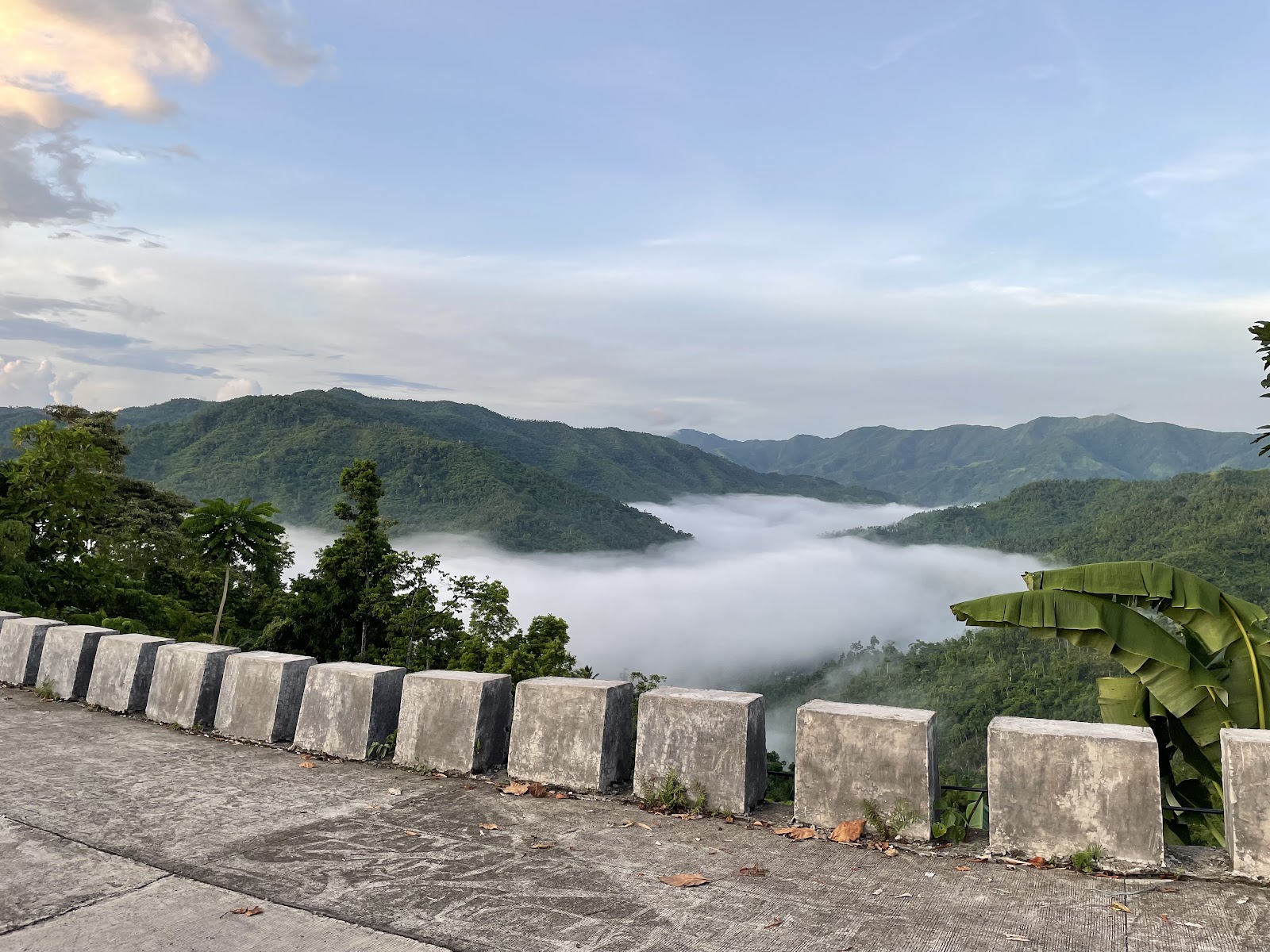 Mt. Baliis Sea of Clouds in Boac, Marinduque