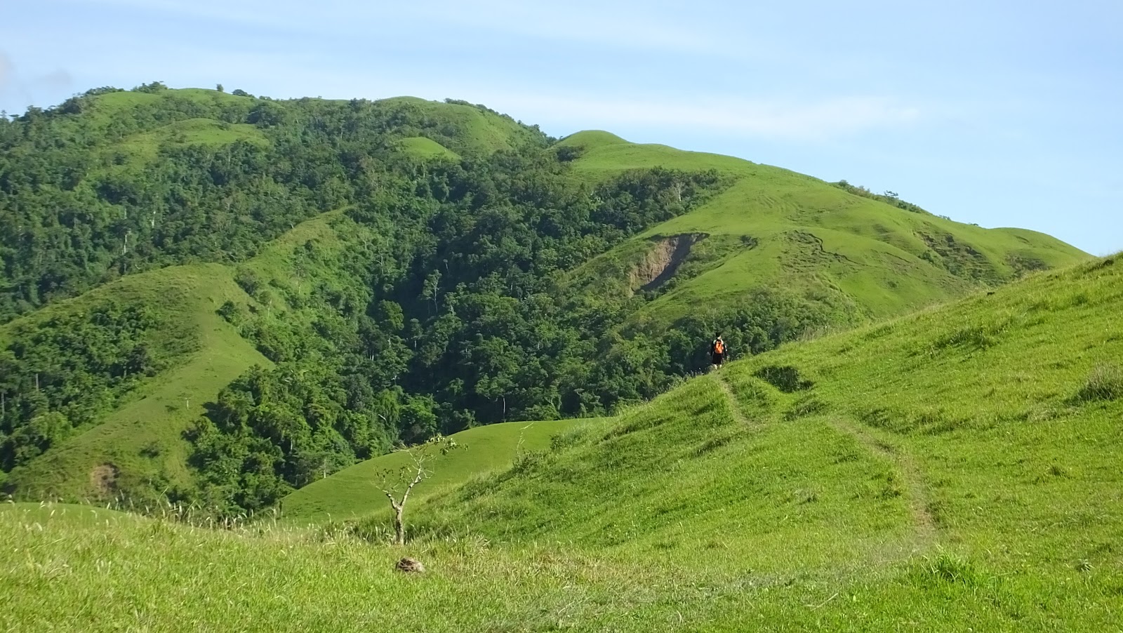 Marinduque Wildlife Sanctuary in Boac, Marinduque